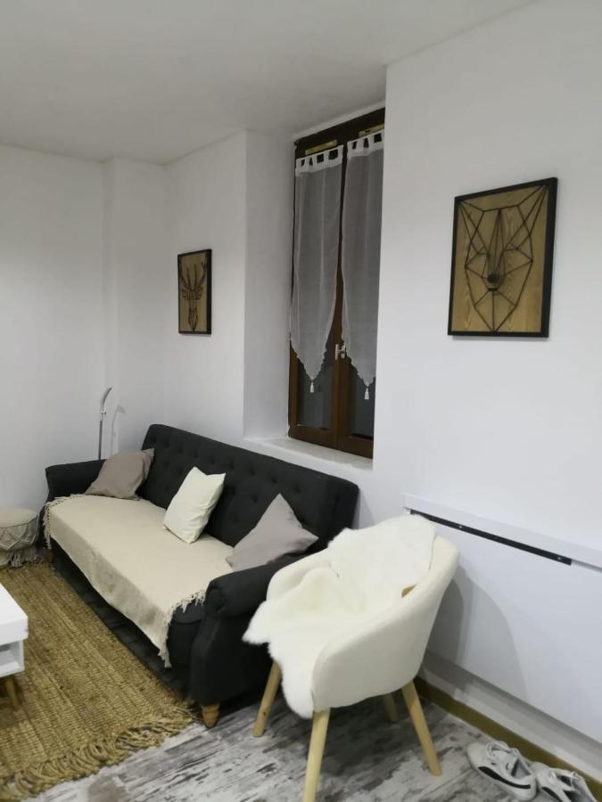 Studio Zen Et Cosy, Neuf En Pleine Ville Saint-Claude Bagian luar foto